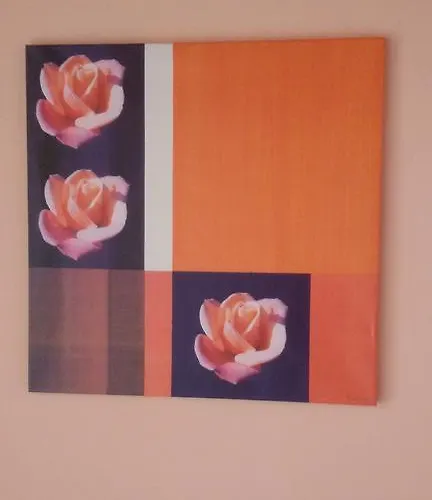 Guest Filipopol * 普罗夫迪夫