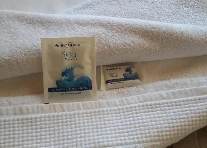 Guest Filipopol 招待所