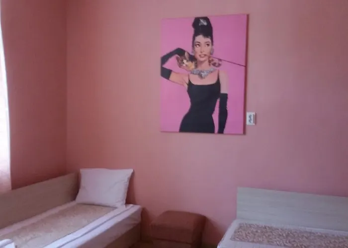 Guest Filipopol * 普罗夫迪夫