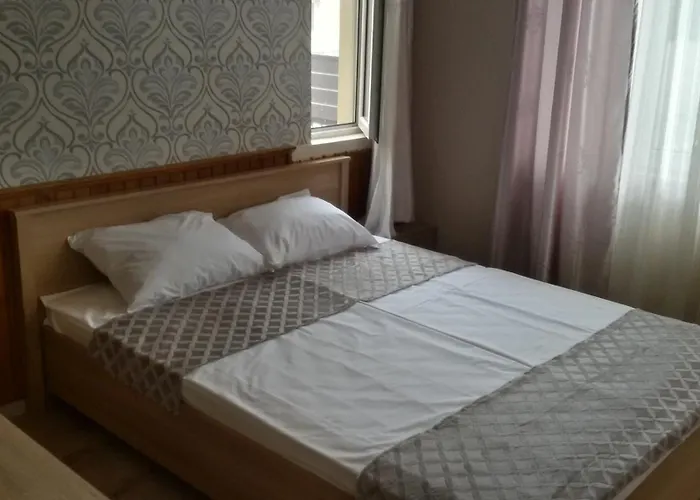 Guest Filipopol 招待所 普罗夫迪夫