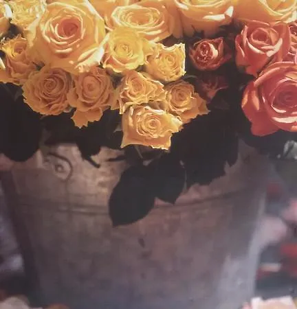 Guest house Guest Filipopol *