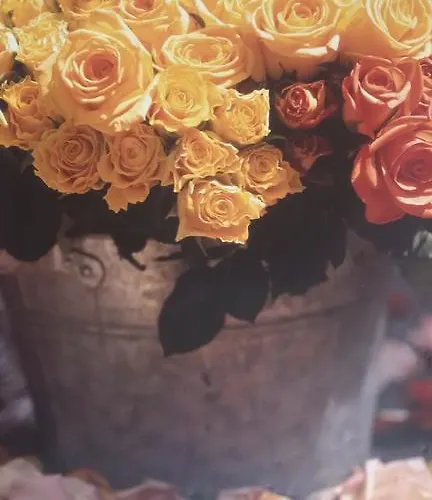 Pensión Guest Filipopol *